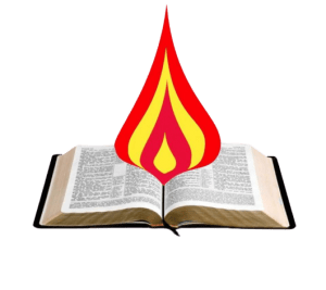 LifeCM logo